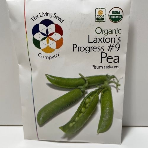 Organic Laxton;s Progress #9 Pea (1-2' Height)