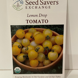 Lemon Drop Tomato, Organic