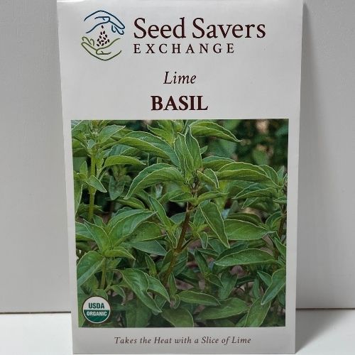 Organic Lime Basil Seeds