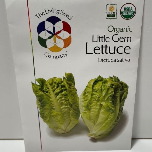 Organic Little Gem Lettuce Heirloom Seeds