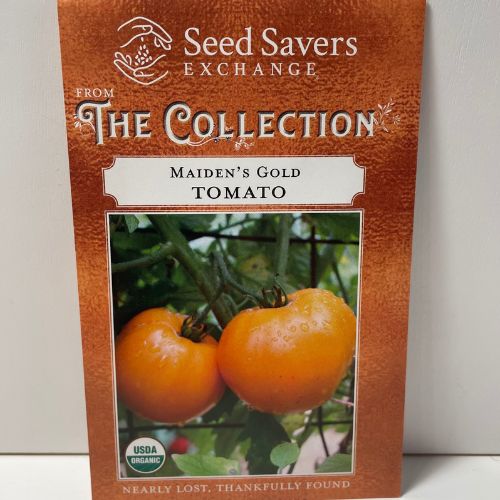 Maiden's Gold Tomato, Organic