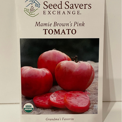 Mamie Brown's Pink Tomato, Organic