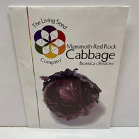 Thumbnail for Mammoth Red Rock Cabbage