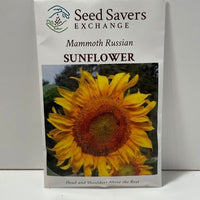Thumbnail for Mammoth Russian Sunflower heirloom open pollinated seeds