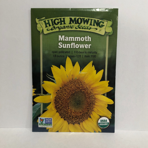 Mammoth Sunflower, Organic