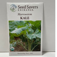 Thumbnail for Organic Marrowstem Heirloom Kale Open-Pollinated Seeds