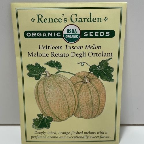 Organic Melon Tuscan Retato Degli Ortolani Seeds