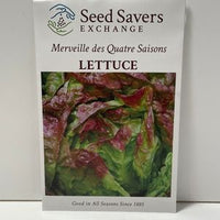 Thumbnail for Merveille des Quatre Saisons Lettuce Heirloom Open Pollinated Seeds