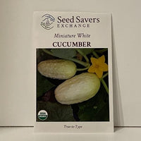 Thumbnail for Miniature White Cucumber Organic Seeds