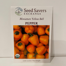Miniature Yellow Bell Pepper (Sweet), Organic