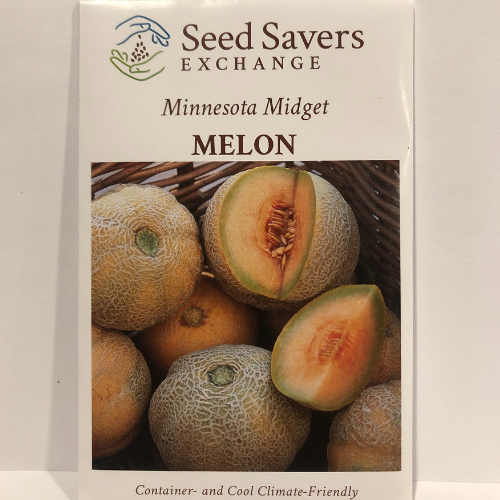 Minnesota Midget Melon Open Polliated Heirloom Seeds