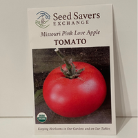 Thumbnail for Missouri Pink Love Apple Tomato, 1860 Heirloom, organic