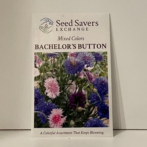 Mixed Color Bacherlor Buttons Heirloom Seeds