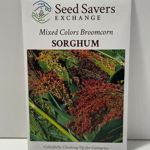 Mixed Colors Broomcorn Sorghum Heirloom Seeds
