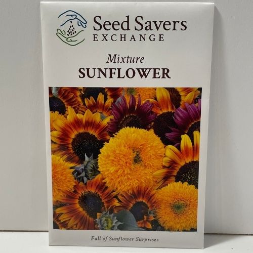 Sunflower Mixture Sunflower Open Pollinated Heirloom Seeds