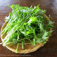 Thumbnail for Mizuna Asian Green, Organic