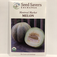 Thumbnail for Montreal Market Melon, Almost Extinct Favorite, Organic