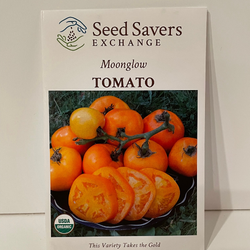 Moonglow Tomato, organic