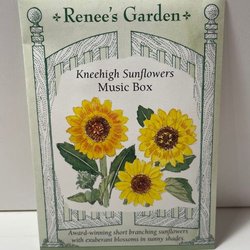 Music Box Knee-High Sunflowers