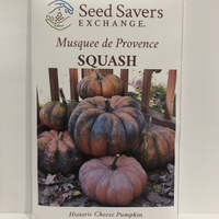 Thumbnail for Musquee de Provence Squash Pumpkin, 1800's Historic Heirloom