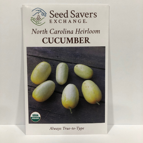 North Carolina Heirloom Cucumber Late 1800's Heirloom, Organic