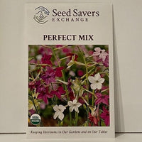 Thumbnail for Organic Nicotiana Perfect Mix Seeds