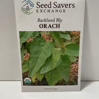 Thumbnail for Organic Backlund Bly Orach Heirloom Open Pollinated Seeds