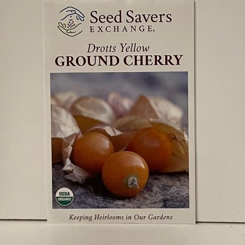 Organic Drott's Yellow Ground Cherry Heirloom Seeds