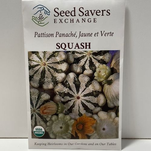 Organic Patisson Panache Jaune et Verte Squash, Heirloom Open Pollinated Seeds