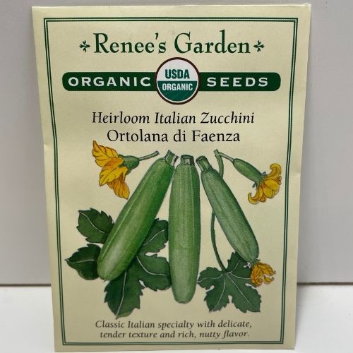 Organic Summer Zucchini Ortolana di Faenza Squash, Heirloom Seeds