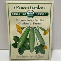 Thumbnail for Organic Summer Zucchini Ortolana di Faenza Squash, Heirloom Seeds