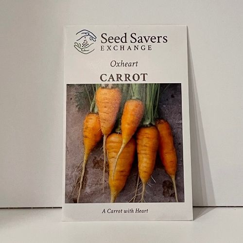 Oxeheart Heirloom Carrot Seeds Open-Pollianted