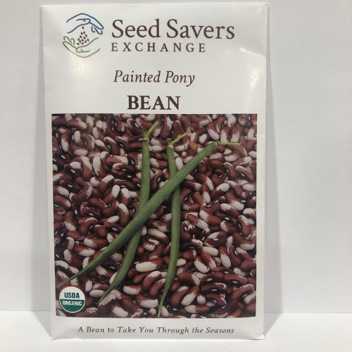 Painted Pony Bush Bean, Organic