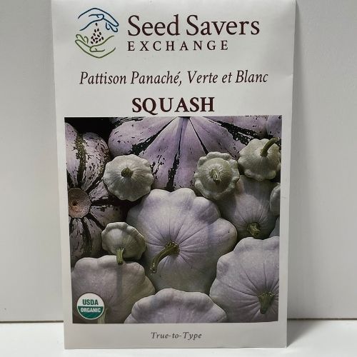 Organic Patisson Panache Verte et Blanc Squash Heirloom Open Pollinated Seeds