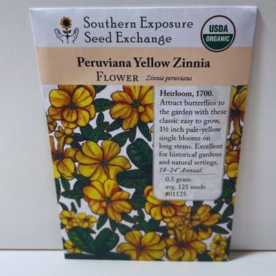 Peruviana Yellow Zinnia, pre-1700's Heirloom, Organic Seeds