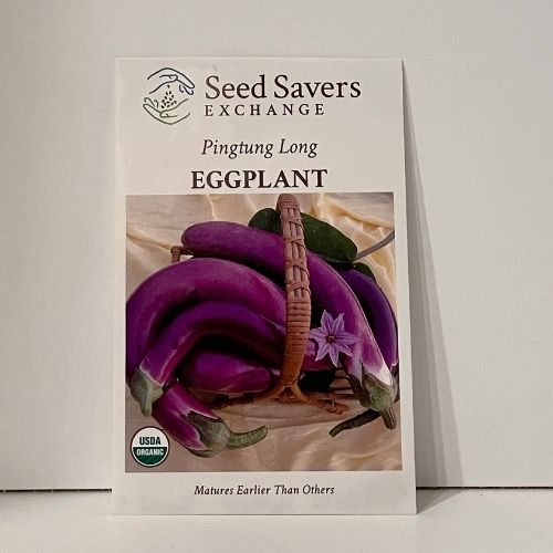 Organic Pingtung Long Eggplant Seeds