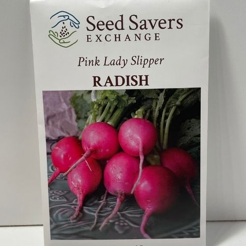 Pink Lady Slipper Radish Open Polinated Seeds