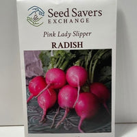 Thumbnail for Pink Lady Slipper Radish Open Polinated Seeds