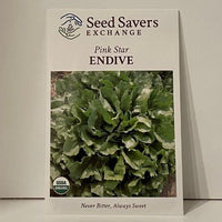 Thumbnail for Organic Pink Star Endive Seeds