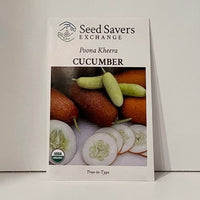 Thumbnail for Organic Poona Kheera Cucumber Seeds