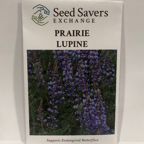 Prairie Lupine - Prairie Native