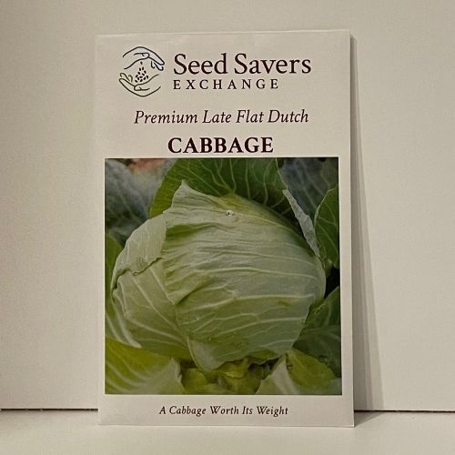 Premium Late Flat Dutch Cabbage Heirloom Open-Pollianted Seeds