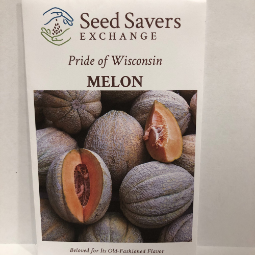 Pride of Wisconsin Melon, 1937 Heirloom