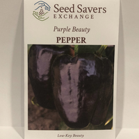 Thumbnail for Purple Beauty Pepper (Sweet)