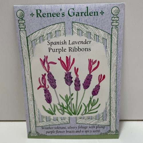 Spanish Purple Ribbons Lavender Seeds