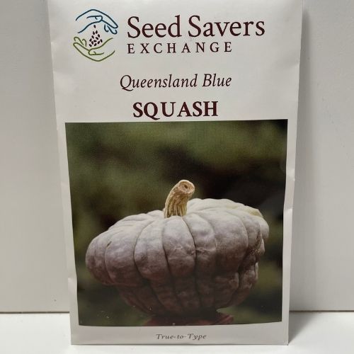 Queensland Blue Squash Heirloom Open Pollinated Seeds