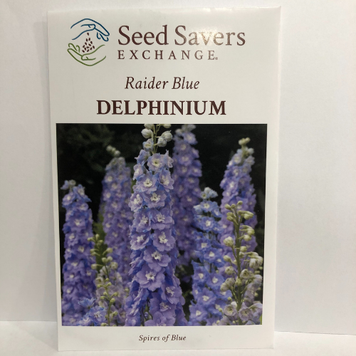Raider Blue Delphinium Flower, Heirloom