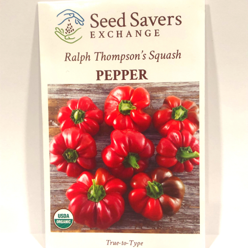 Ralph Thompson's Squash Pepper, Heirloom (Hot), Organic