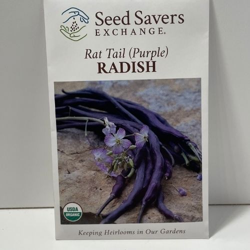 Organic Rat Tail Purple Radish Heirloom Seeds