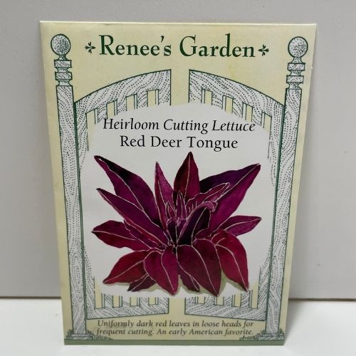 Red Deer Tongue Lettuce, Heirloom Cutting Lettuce